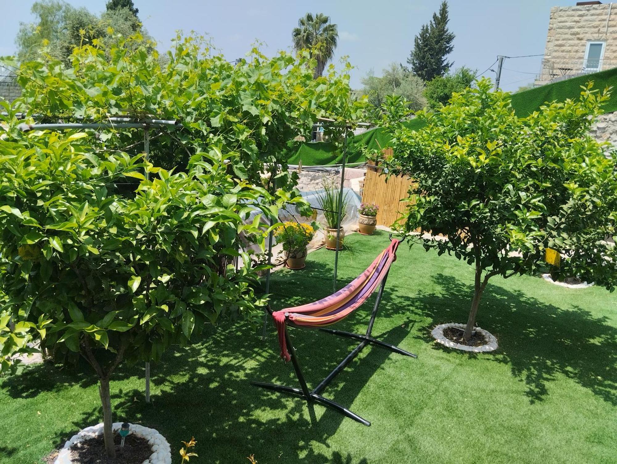 קסם עין כרם Jerusalém Exterior foto